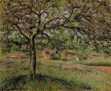 Camille Pissarro Painting - Manzano en Eragny 1884 Camille Pissarro